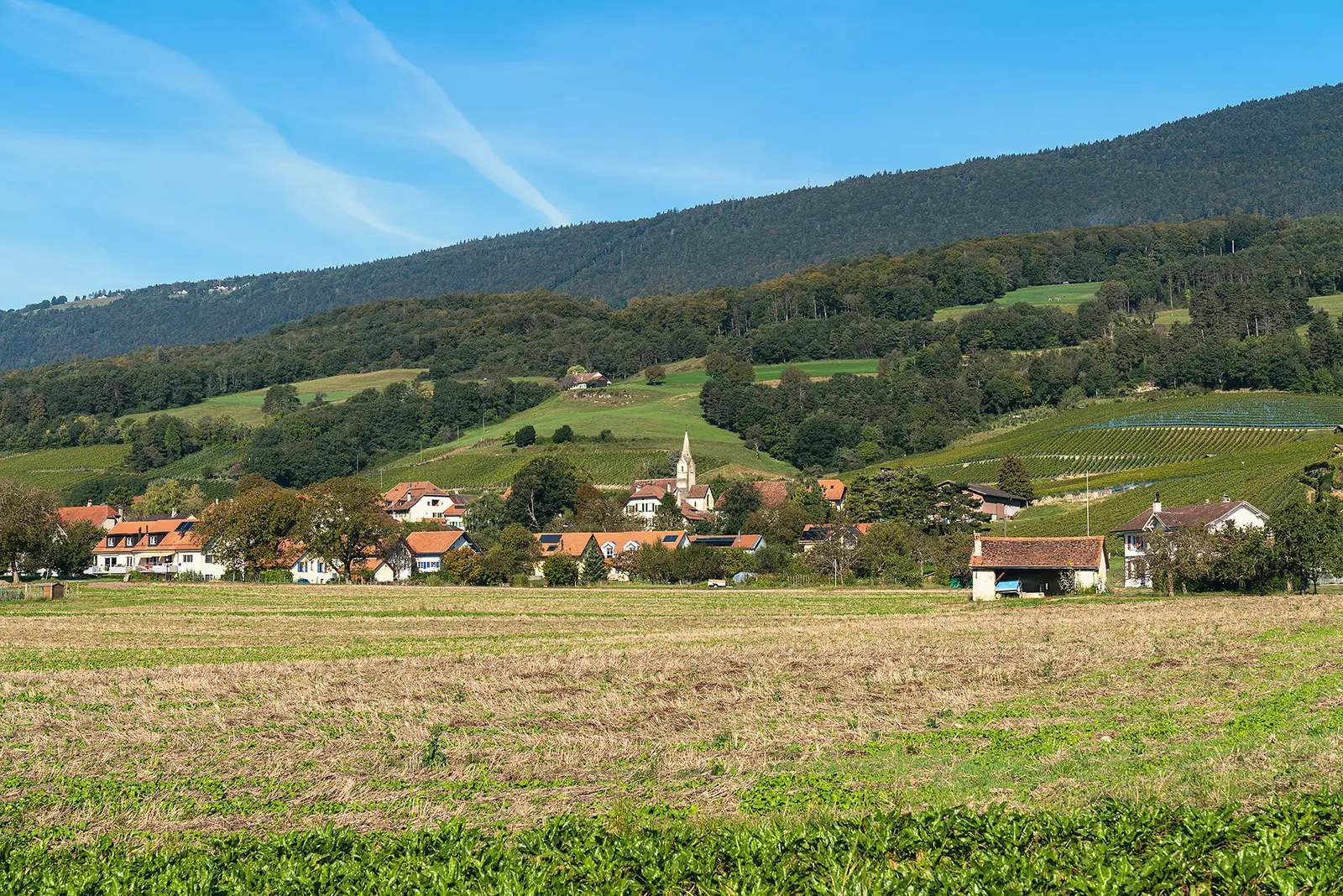 Bonvillars, a wine village in the hills north of Yverdon