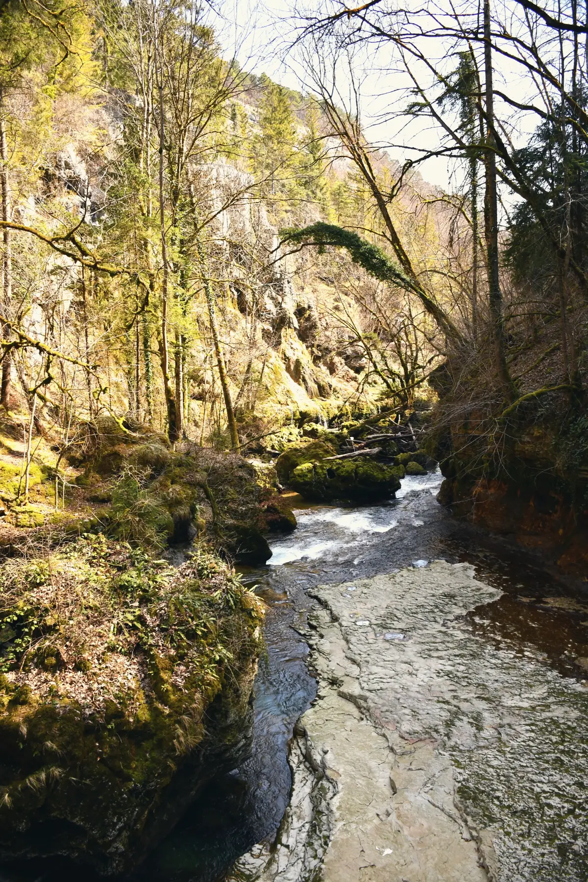 The river Orbe deep in its gorge