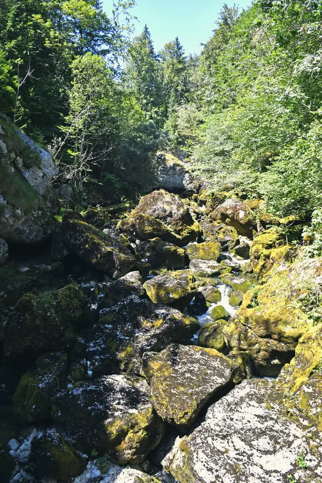 The Gorges de l'Orbe, where the river cuts through the Jura