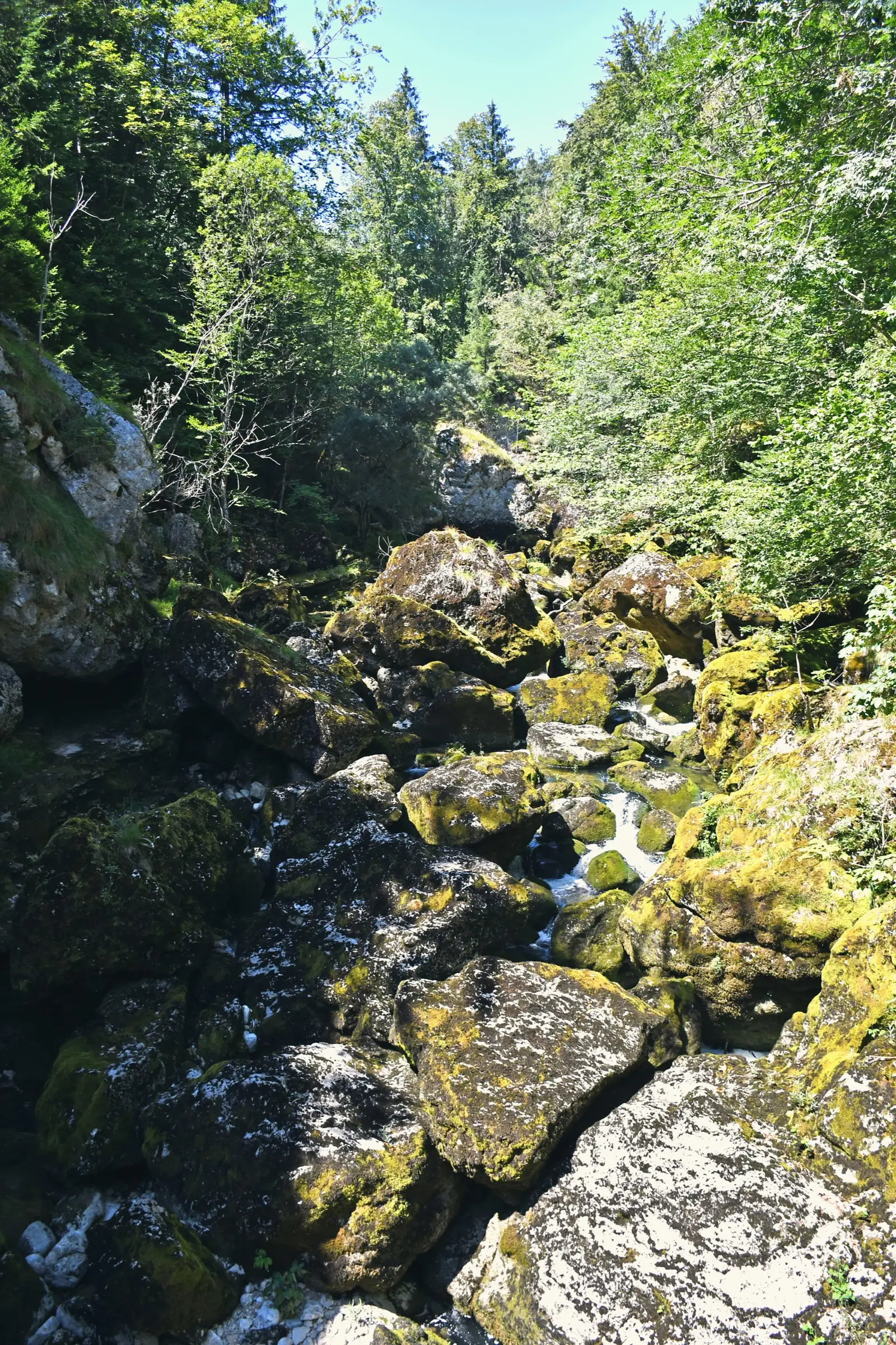The Gorges de l'Orbe, where the river cuts through the Jura