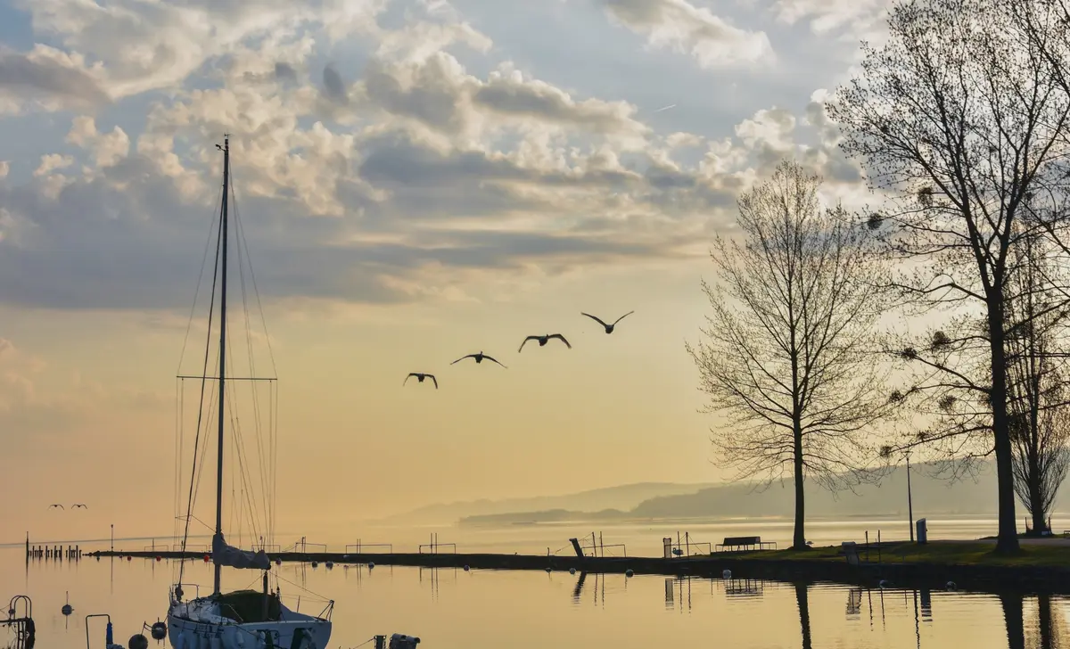 The lakeshore at sunrise, with the harbour and a moored sailboat